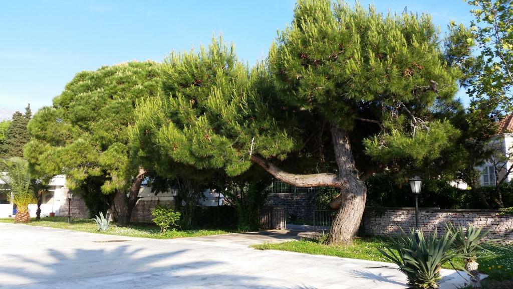 Villa Jadran Apartments 巴尔 外观 照片